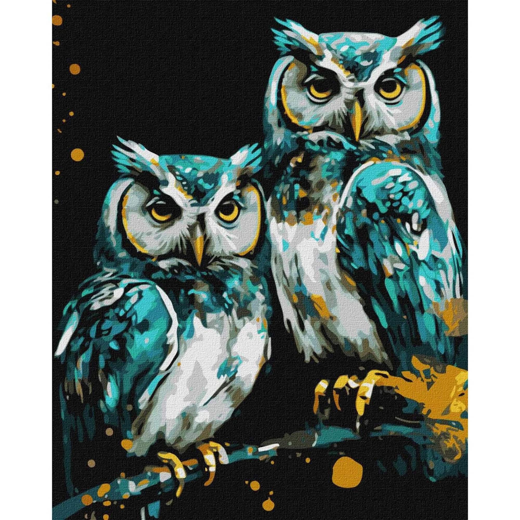 Ideyka Wise Owls Painting by Numbers Kit